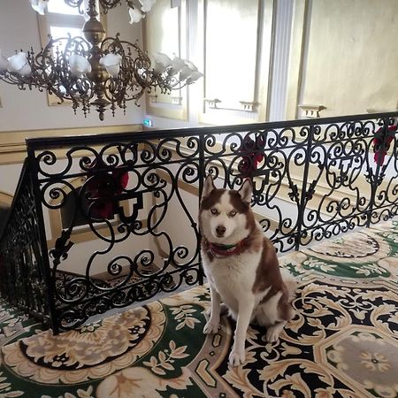 Korona Hotel Nyíregyháza Zewnętrze zdjęcie