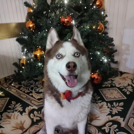 Korona Hotel Nyíregyháza Zewnętrze zdjęcie