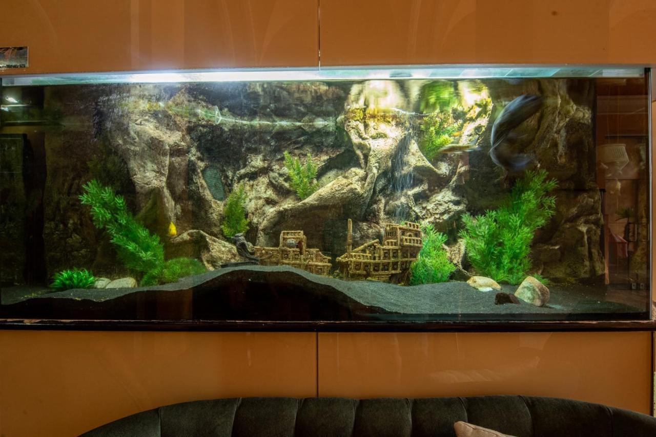 Korona Hotel Nyíregyháza Zewnętrze zdjęcie