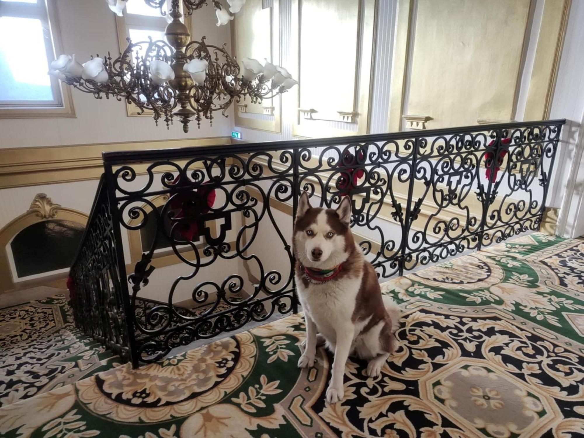 Korona Hotel Nyíregyháza Zewnętrze zdjęcie